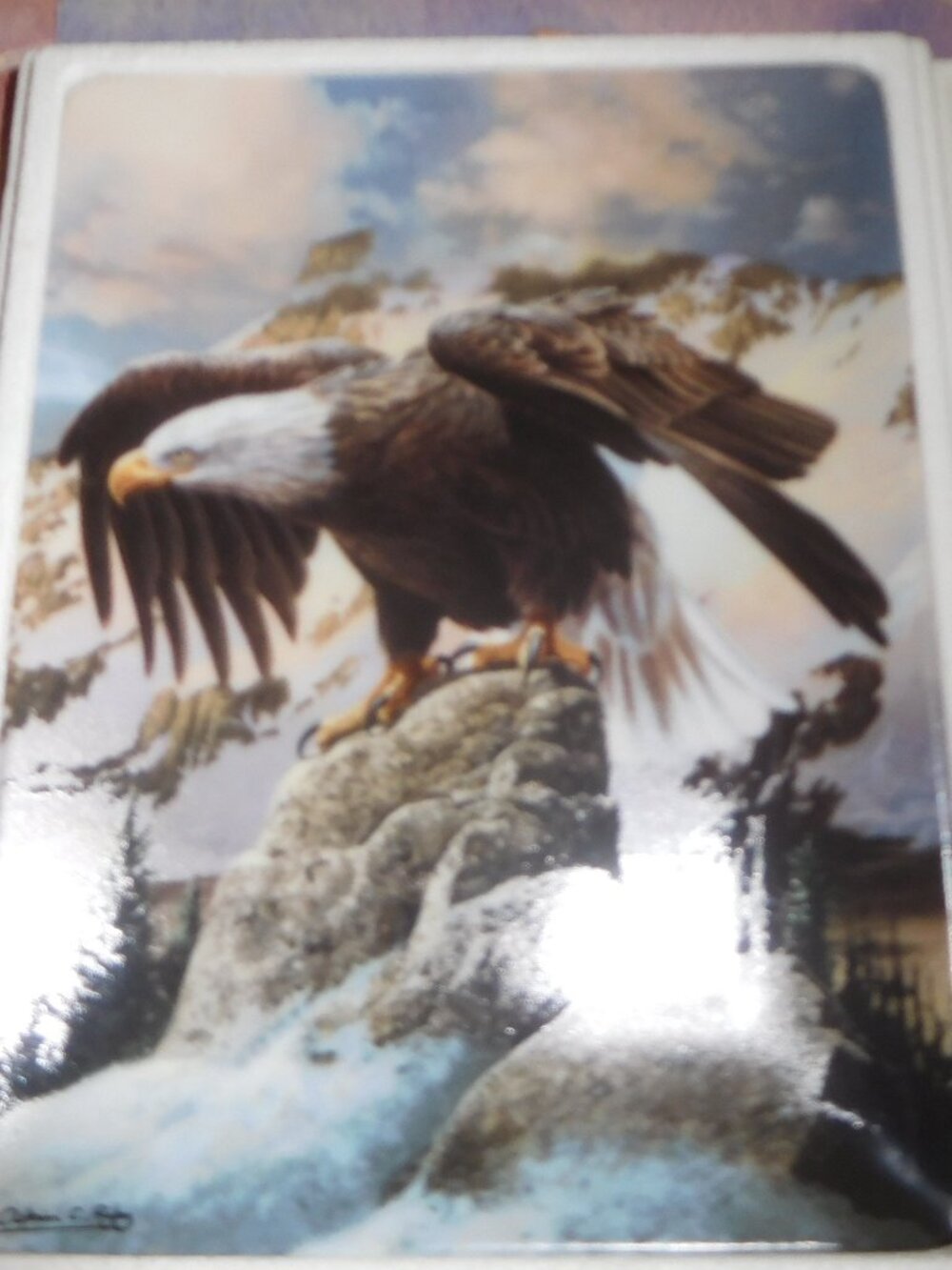 Realm of the Majestic Eagle Plate Collection / "Winter Watch"